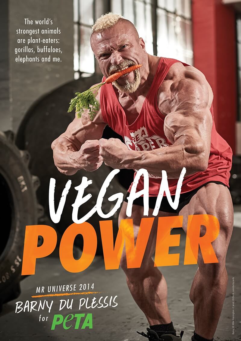 Barney du Plessis Mr. Universe Vegan Power