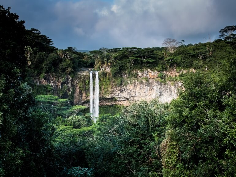 Rainforest Waterfall Nature
