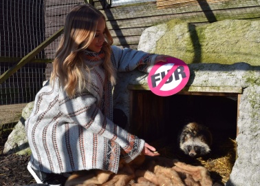 PHOTOS: Lauren Pope Uses Discarded Fur Coats to Keep Adorable Rescue Animals Warm