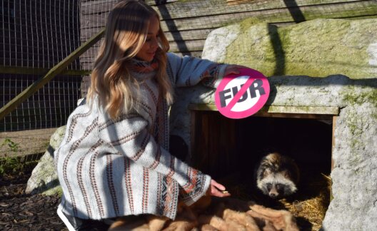 Lauren Pope Fur Donation Raccoon Dog