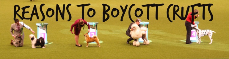 Boycott Crufts CC