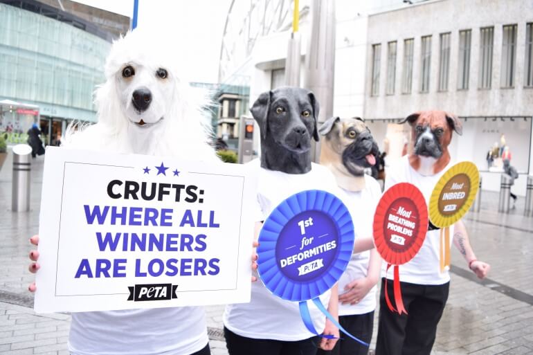 Crufts 2