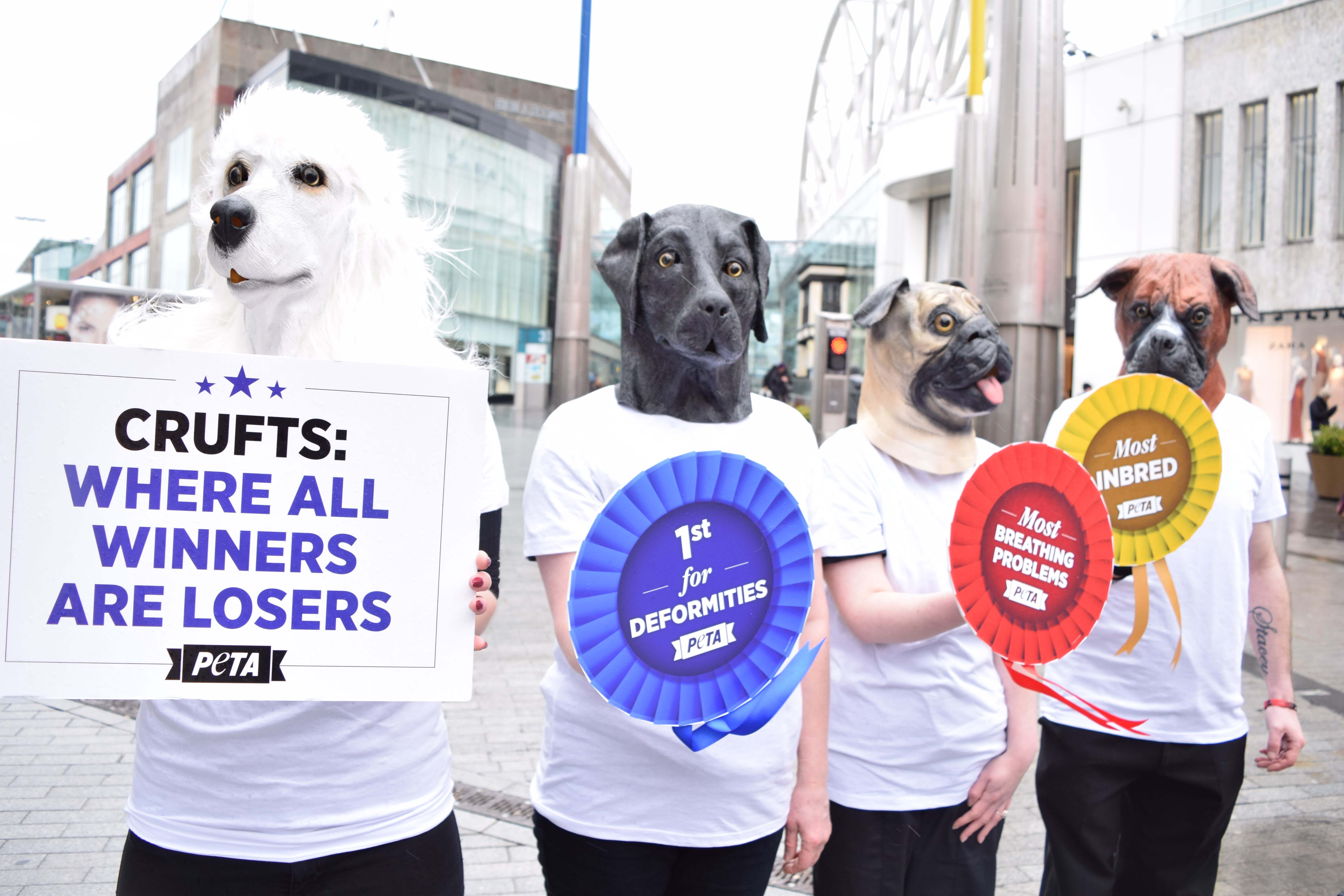 Photos 'Dogs' Protest Crufts With Most Inbred And 1st For Deformities