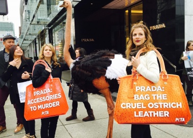 Prada’s Newest Shareholder Is PETA US—Find Out Why