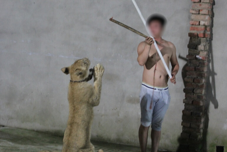 China Circus_Lion and trainer