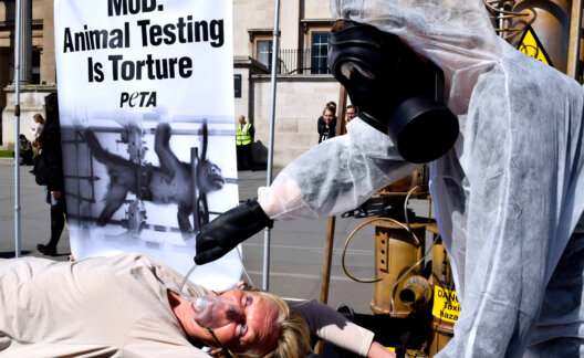 Ingrid Newkirk in Trafalgar Square protest against monkey experiments