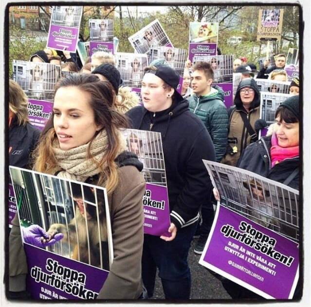 Karolinska Demonstration 2