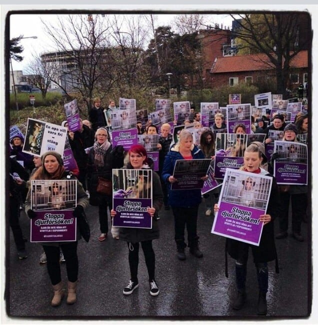 Karolinska Protest