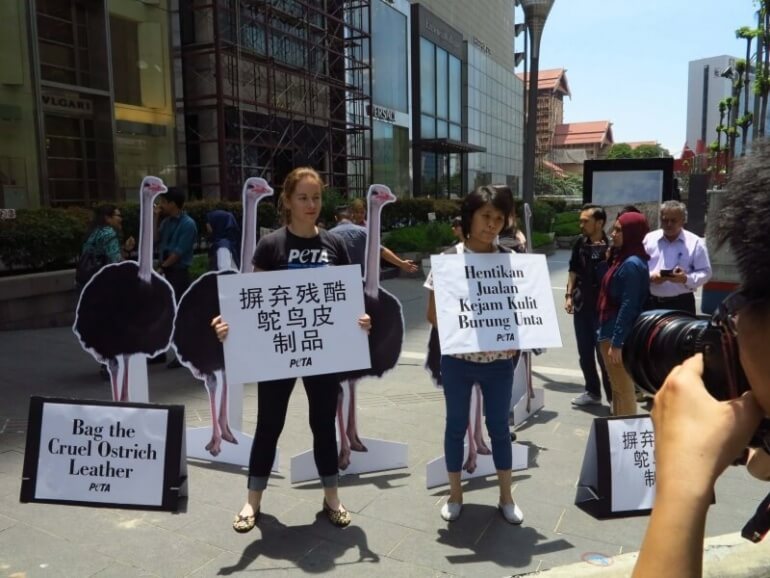 Kuala Lumpur Ostrich Demo