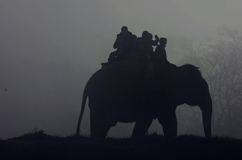 Elephant Ride