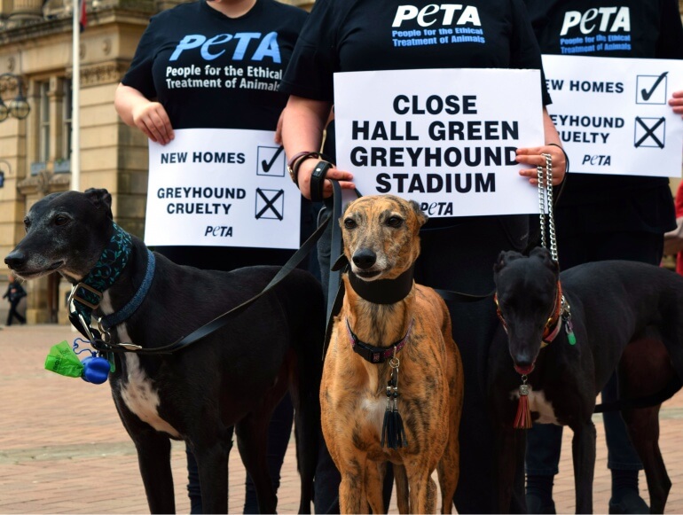 Hall Green Stadium protest Birmingham