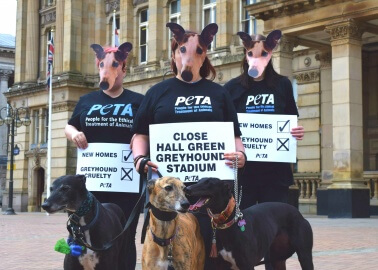 Archaic Dog Track Faces Opposition in Birmingham