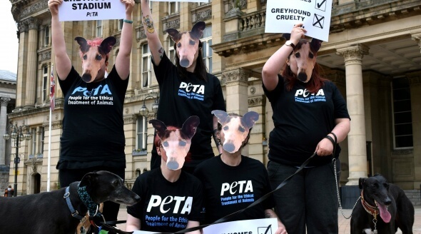 Protest against greyhound races at Hall Green stadium