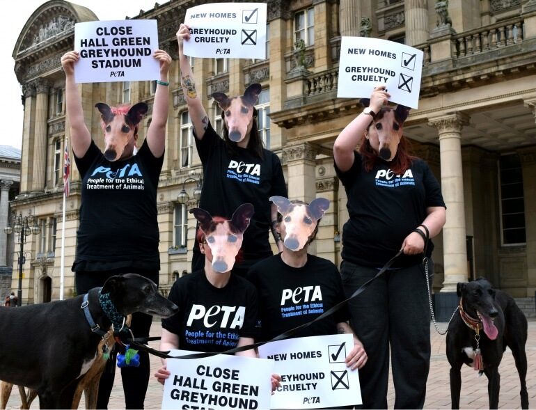 Protest against greyhound races at Hall Green stadium