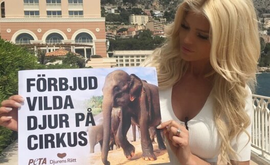 Victoria Silvstedt Circus Sign Model Sweden