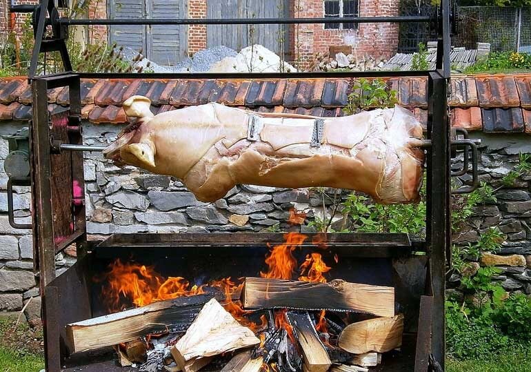 BBQ Pig