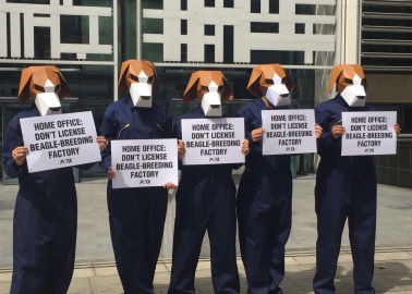 This Is Why Nearly 50,000 People Have Just Written a Letter to Theresa May