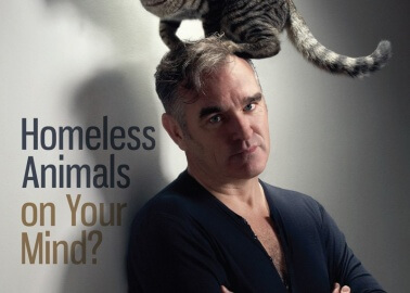 What’s on Morrisey’s mind?