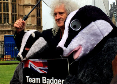 Huge ‘Selfie Mosaic’ Delivered to Politicians Ahead of Decision on Cruel Badger Cull