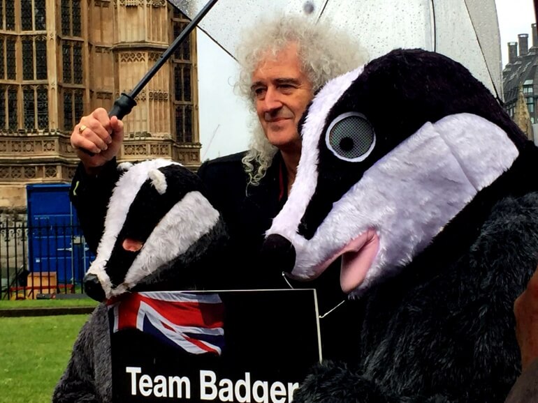 Brian and badgers (2)