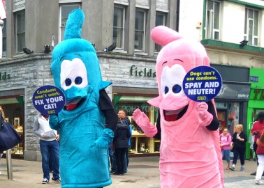 Giant ‘Condoms’ Travel to Ireland to Promote Animal Birth Control