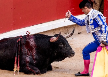 Bulls Barbarically Killed, 2 People Gored and More Injured at Pamplona’s Running of the Bulls