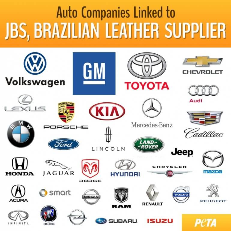 JBS linked car company infographic