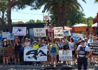 France’s Marineland Swims Against the Current