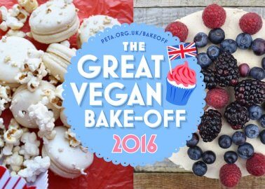 Great Vegan Bake-Off 2016 – the Winner