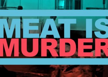 ‘Meat Is Murder’ as You’ve Never Experienced It Before