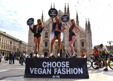 Spotted in Milan – Surprise Vegan Catwalk Pops Up in the Middle of Fashion Week