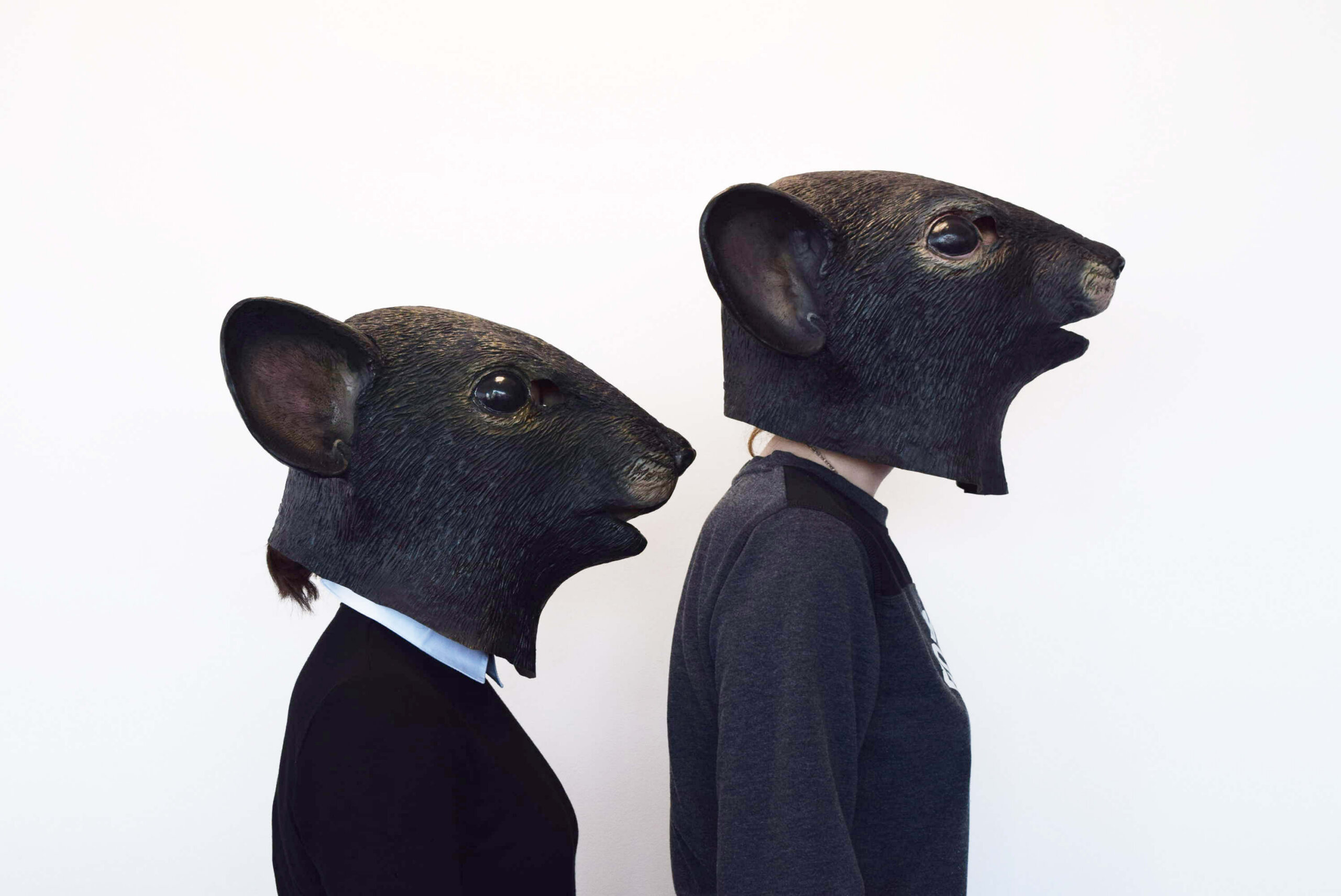 Open Arms Testing Rats WATCH: 'Rats' Hold Die-In at New Scientist Live to Show That Animal ...