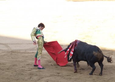 Huge Step Backwards as Catalonia’s Ban on Bullfighting Is Overturned