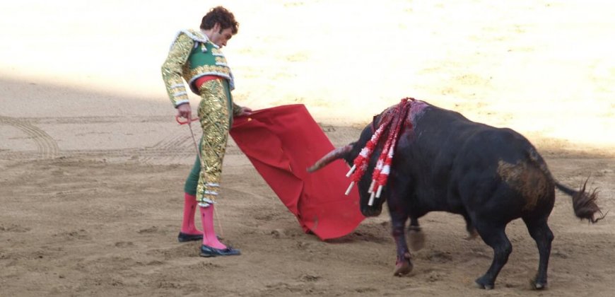 bullfight-cc0