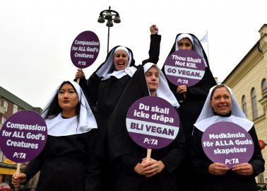 We Sent These ‘Nuns’ to Meet the Pope in Lund