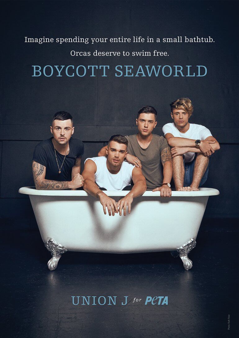 Union J Seaworld Ad Bathtub
