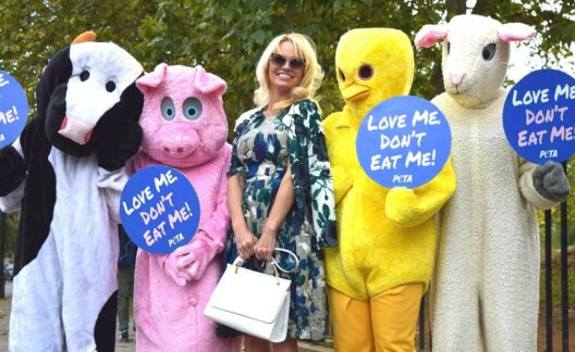 Pamela Anderson Animals Vegan