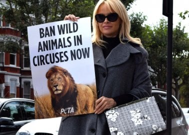 Pamela Anderson: ‘Kissing Circus Animal Acts Goodbye Is Easy as Pie’