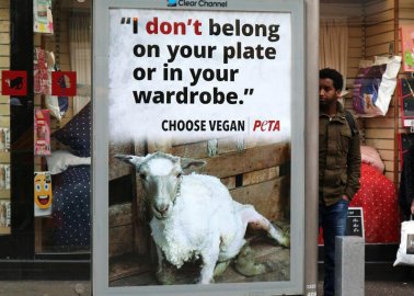 These Billboards Show How Sheep Are Treated in the Wool Industry