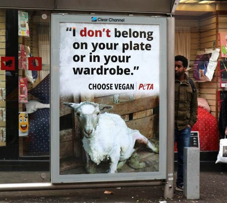 scotlandwoolbillboard