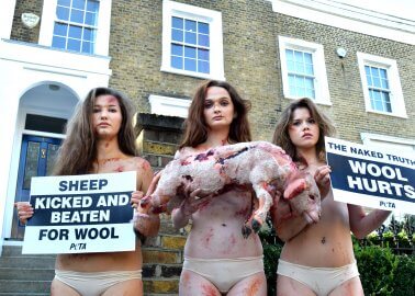 Why Did We Send Three ‘Bruised and Bloodied’ Models to the Opening of British Wool Week?