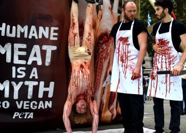 PHOTOS: Open-Air ‘Slaughterhouse’ in Central London Marks World Vegan Day