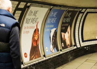 The UK’s First-Ever Vegan Tube Takeover