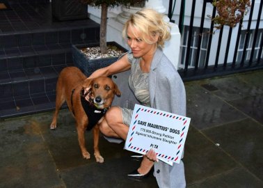 Pamela Anderson Delivers the Pleas of Thousands to Mauritius’ High Commission