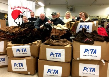 Unwanted Furs Sent to People in Need This Winter