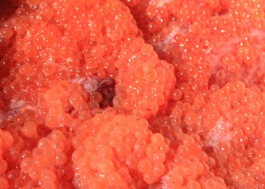 You Might Never Eat Caviar Again After Watching This