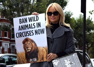 Pamela Anderson Urges Taoiseach Enda Kenny to Support Ban on Wild-Animal Circuses in Ireland
