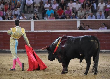 Spanish Matador’s Death Is Further Proof That Bullfighting Must Be Banned