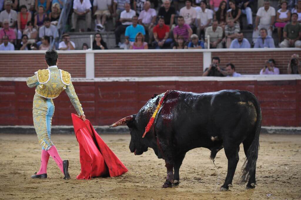 weanimals_bullfighting 