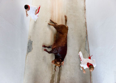 What Happens During the Running of the Bulls in Pamplona